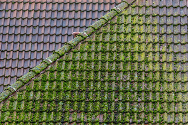 Remove roof moss