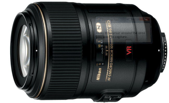 The Best Lenses for Macro Photography: Capturing the Tiny World in Detail