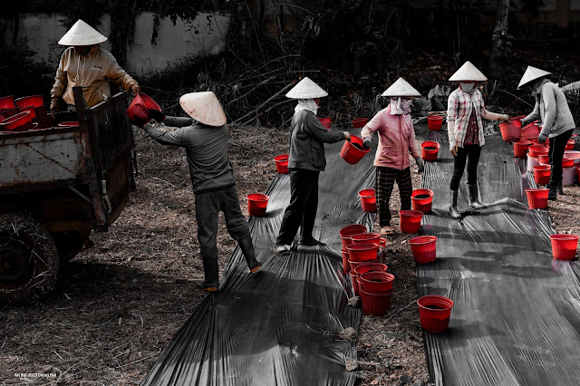 Làng hoa tết Gia Kiệm, Đồng Nai
