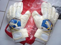 Sarung Tangan Kiper...??? | http://poerwalaksana.blogspot.com/