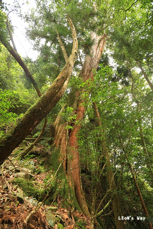 blog_056