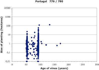 Ancient vineyards of Portugal