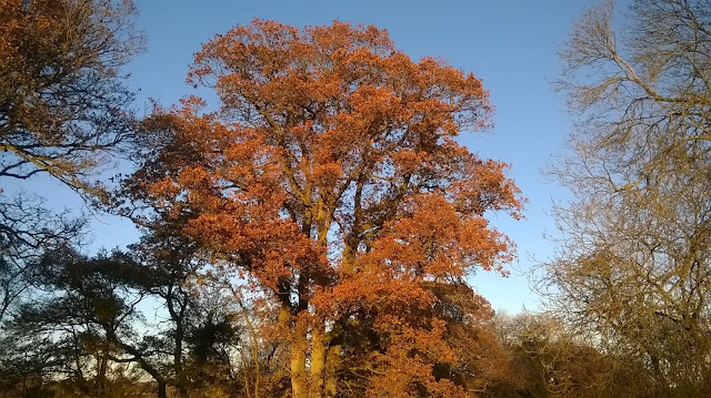 Autumn and Fall Season of mists and mellow fruitfulness