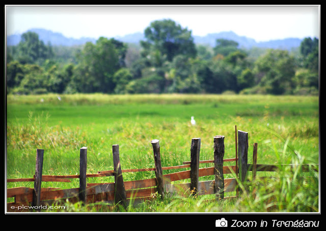 classic wood fence picture