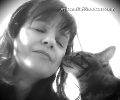 tabby cat kisses her human