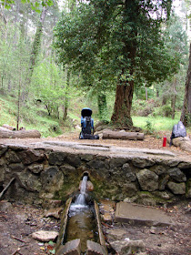 Font de la Pegunta