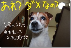 今日カズ１００２２８　５