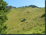 DSCN9880