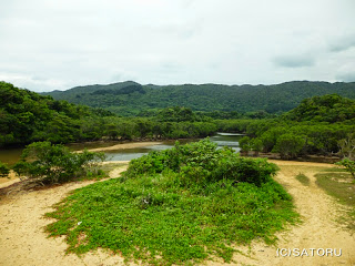 石垣島の吹通川とマングローブ 風景写真（野底-4a）