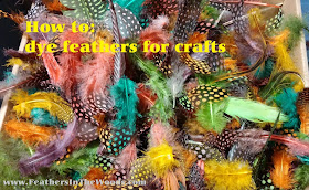 how to dye feathers