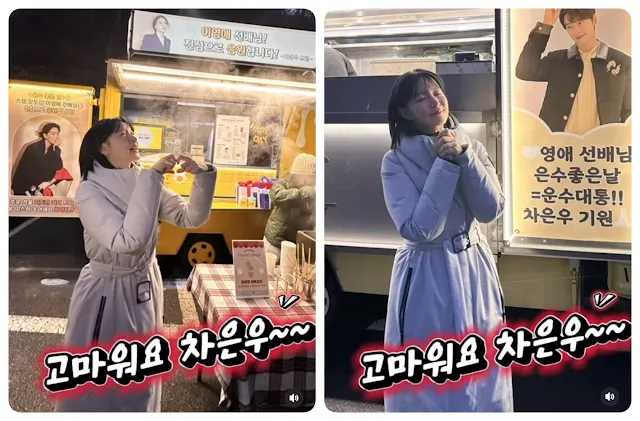 배우 이영애, 은수 좋은날, 차은우