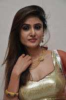 Telugu heroines