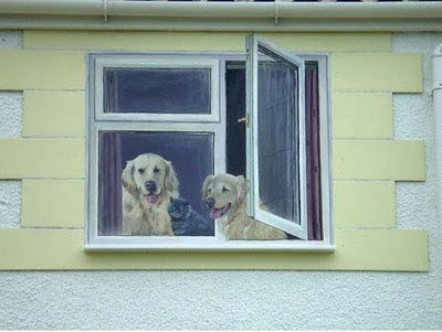 Windows with Animals(Dogs) Illusion