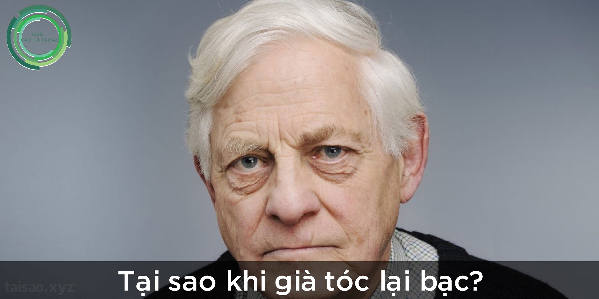 Tại sao khi già tóc lại bạc?