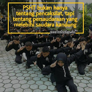 25 Inspirasi Keren Atlet Pencak Silat Psht  Cewek Beserta 