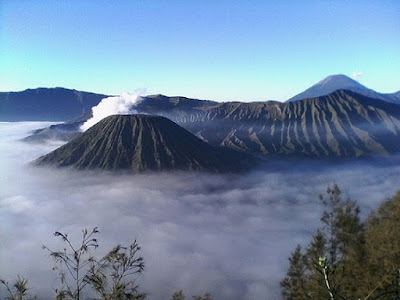 Sewa Mobil Malang