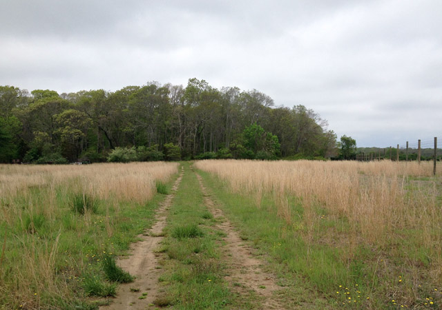 MOUND: The Near Past