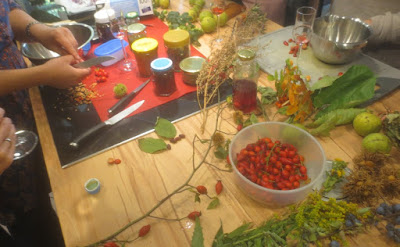 FoodBloggerCamp Berlin 2015: Wildpflanzen