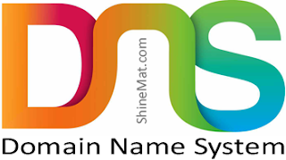 Custom DNS settings for blogger blog