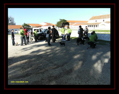dog trekking group