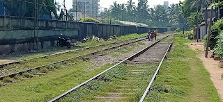 It is all about the trains in Sri Lanka. 200 metres from the beach