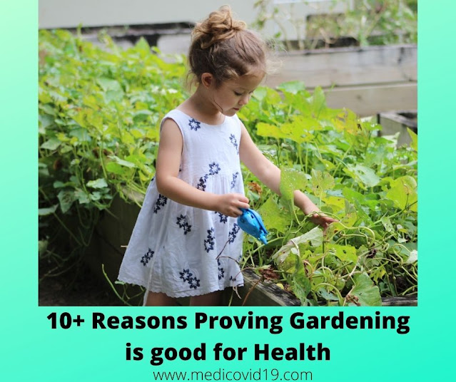 10+ Reasons Proving Gardening is good for Health