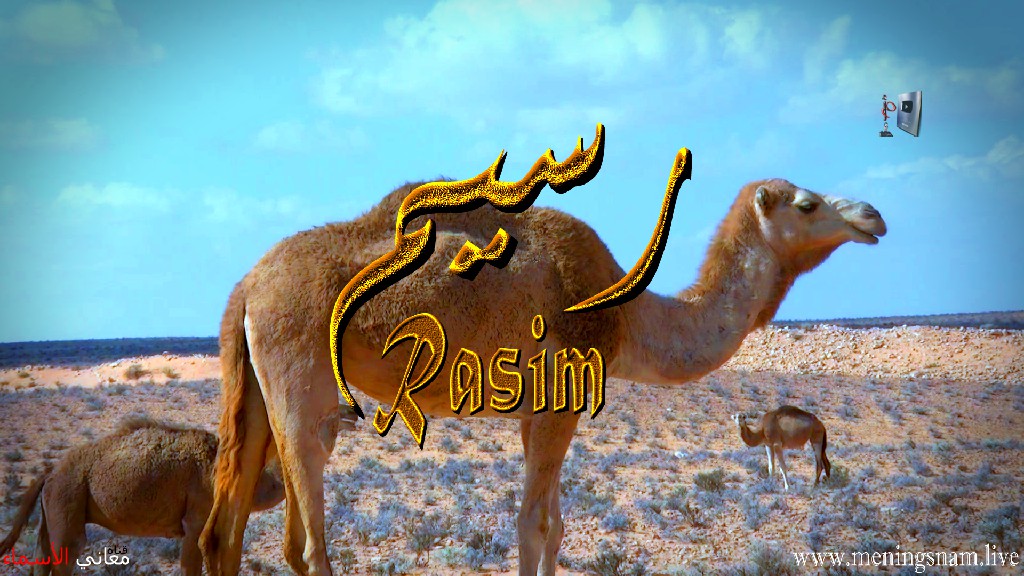 معنى اسم, رسيم, وصفات حامل, هذا الاسم, Rasim,