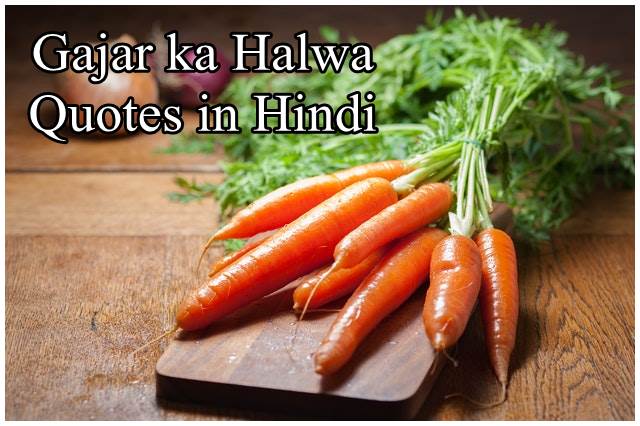 Gajar ka Halwa Quotes in Hindi