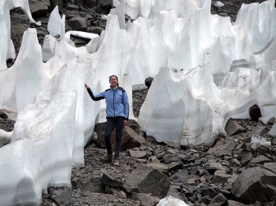 Giant Ice Blades (Penitentes), Argentina is one out of the amazing things in nature.