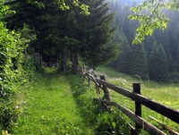 Pot mimo planine Praprotnice