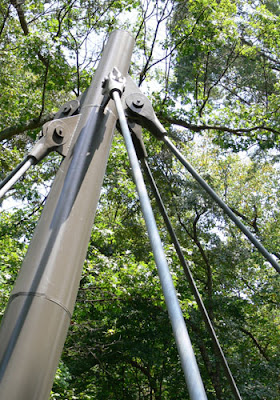 Canopy Walk at the Atlanta Botanical Garden