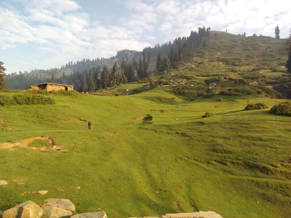 Chail meadows. Chail ghar meadows. Chail maidan Allai valley Battagram