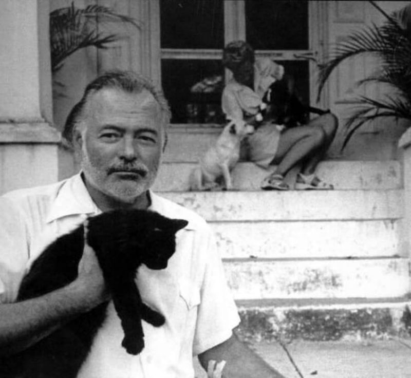 26 Interesting Vintage Photos of Ernest Hemingway With His ...