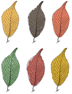 Printable collage sheet autumn leaves color digital download