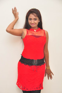  Kaveri At Andala Chandamama Movie Press Meet photos