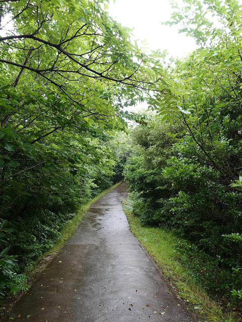 鳥取県西伯郡大山町妻木　鳥取県立むきばんだ史跡公園　首長の墓への道