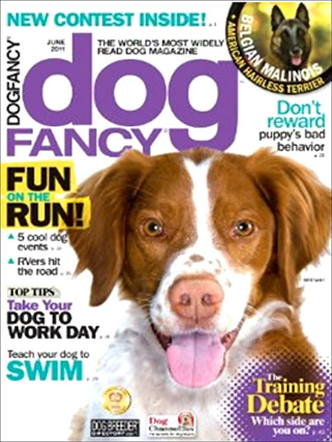 Dog Fancy Subscription6