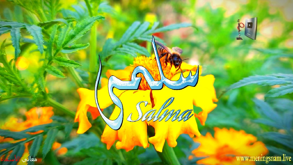 معنى اسم, سلمى, وصفات حاملة, هذا الاسم, Salma,