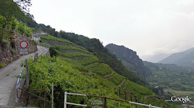 subzones of Valtellina wine region