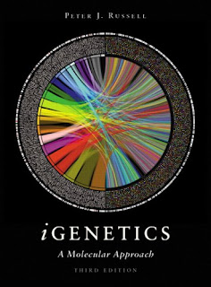iGenetics: A Molecular Approach 3rd Edition pdf free download