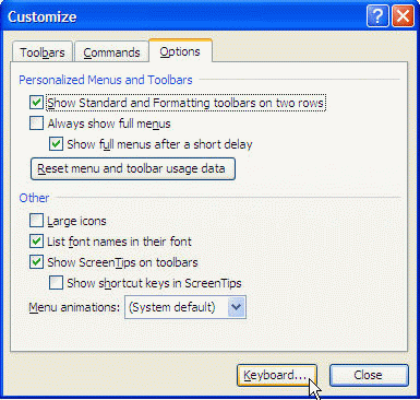 Customize dialog box