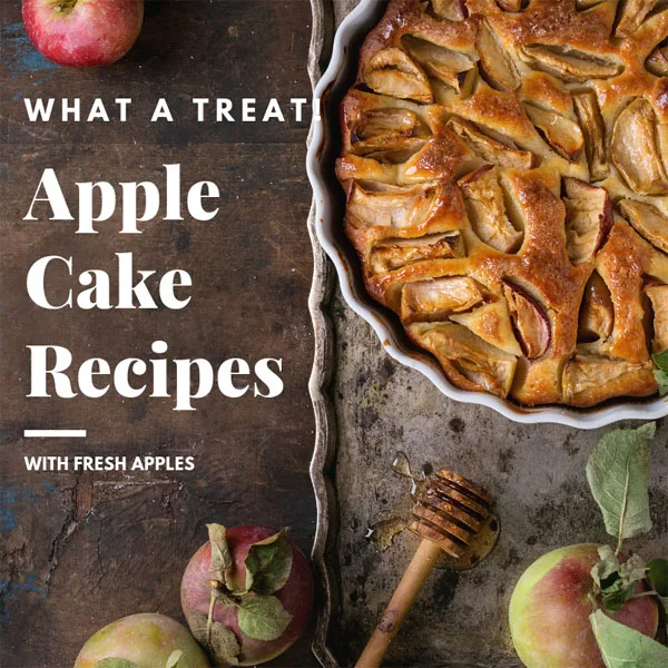 Apple Cake Recipes with Fresh Apples