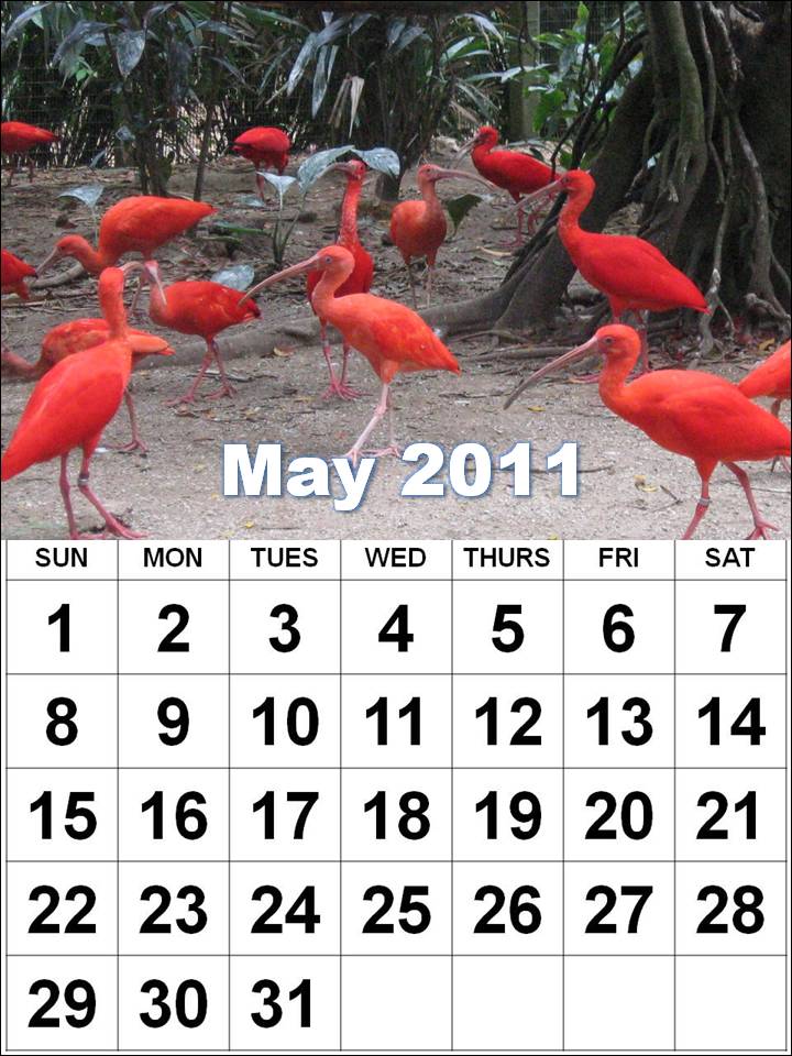 may 2011 calendar template. 2010 may 2011 calendar