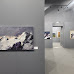 Broletto di Pavia, inaugurata la mostra di Sandra Tenconi dedicata alle montagne