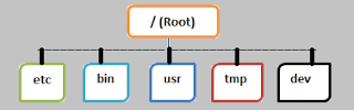 root directory