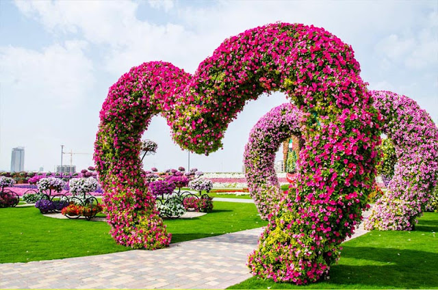 The Miracle Garden Dubai