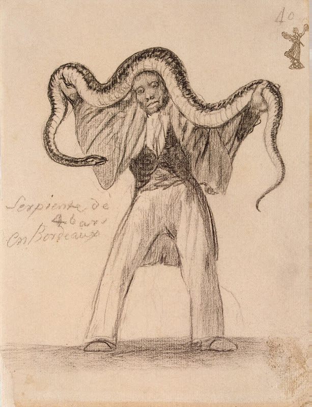 Serpent Four Yards Long in Bordeaux by Francisco Goya - Genre Drawings from Hermitage Museum