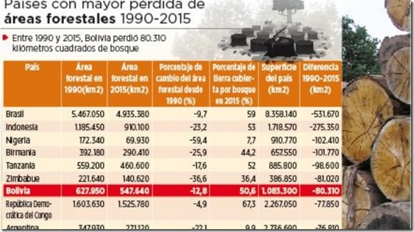 Bolivia, entre los 10 países con mayor pérdida de área forestal