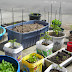 19+ Recycled Container Vegetable Gardening Pics