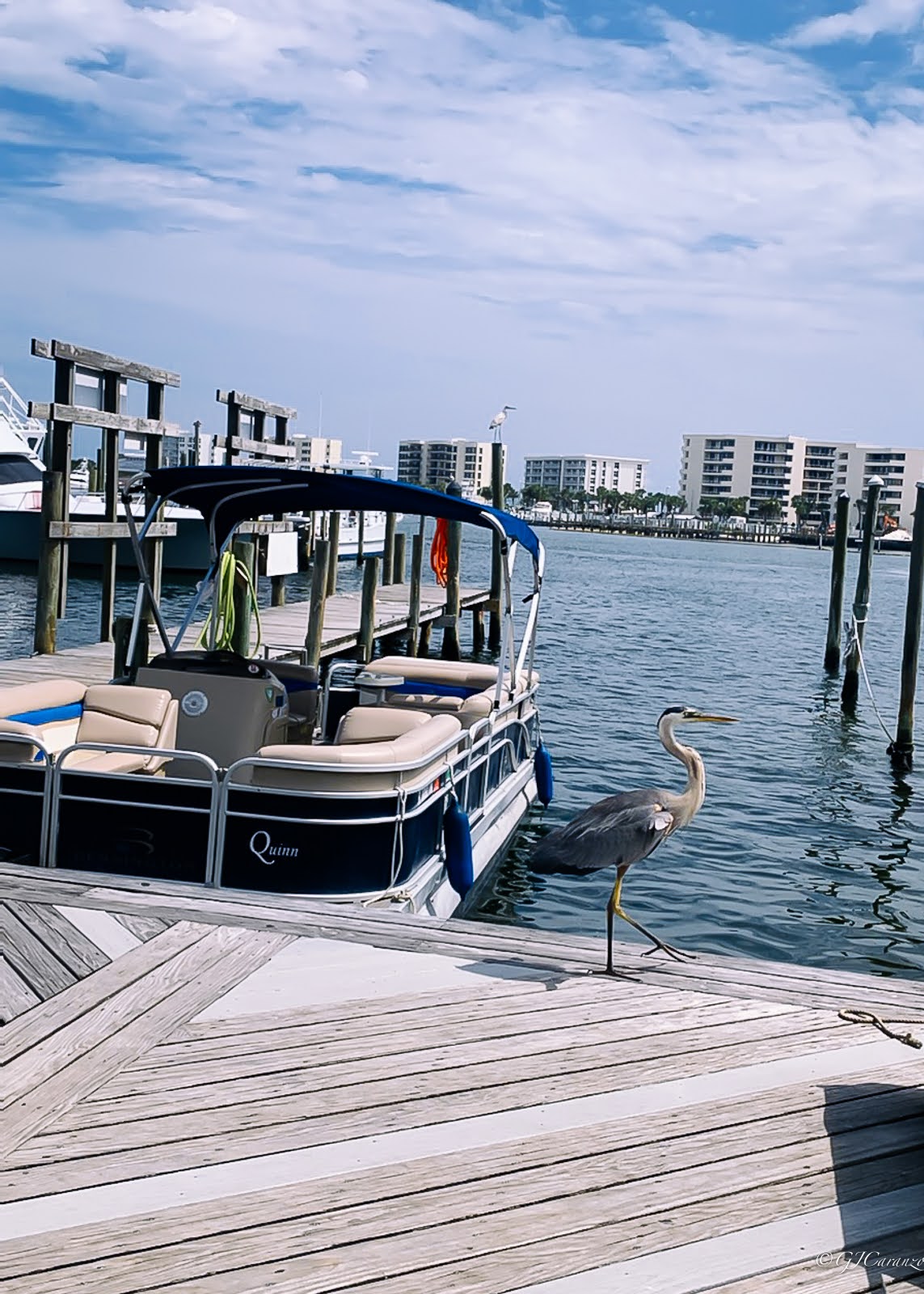 Things to Do in the Florida Panhandle: Destin Harbor Boardwalk